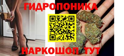 mdpv Заводоуковск