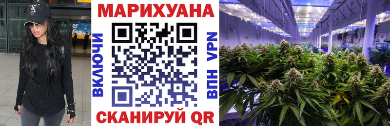 Конопля White Widow  где можно купить наркотик  Нижнекамск 